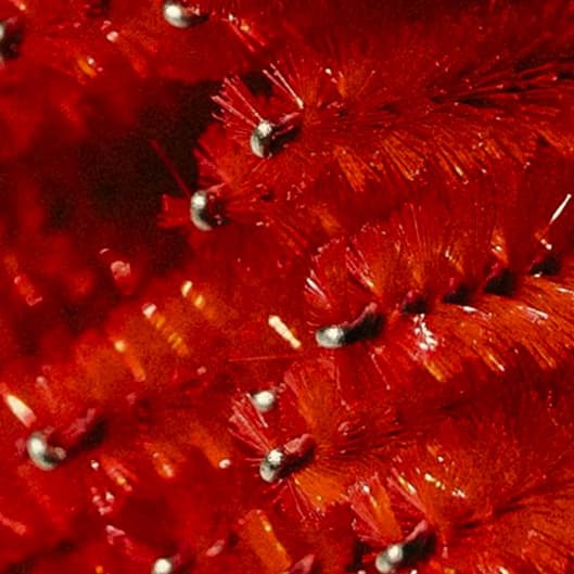 The Lash & Brow Beauty Bundle at R Beauty & Wellness in Pacific, MO